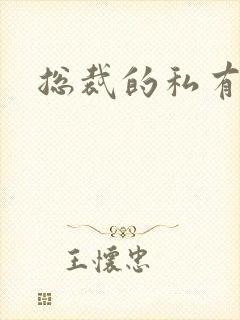 总裁的私有宝贝