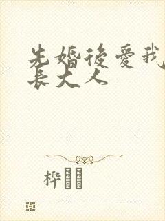 先婚后爱我的市长大人