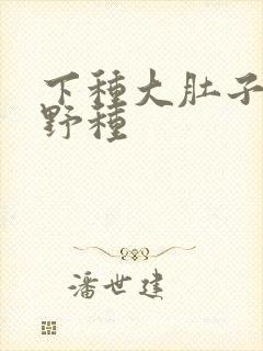 下种大肚子怀孕野种