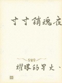 寸寸销魂夜春光