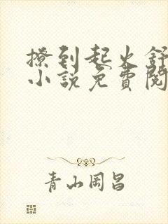 撩到起火舒漾的小说免费阅读全文