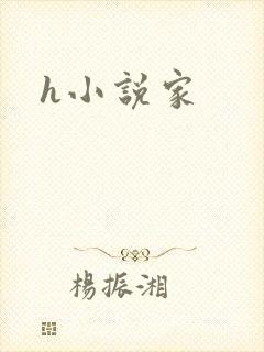 h小说家