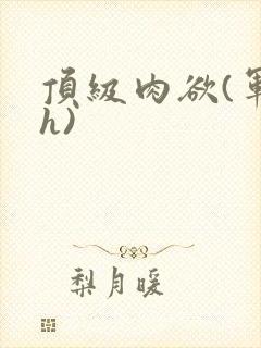 顶级肉欲(军高h)