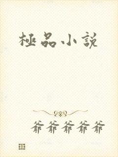 极品小说