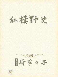 红楼野史