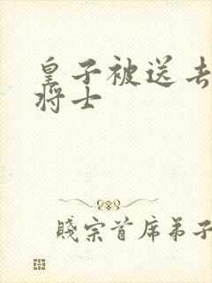 皇子被送去犒劳将士