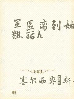 军区脔到她哭h粗话h