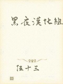 黑夜汉化组