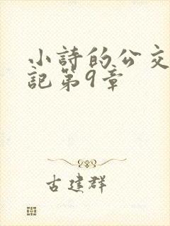 小诗的公交车日记第9章