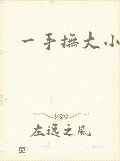一手抚大小说