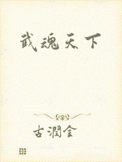 武魂天下