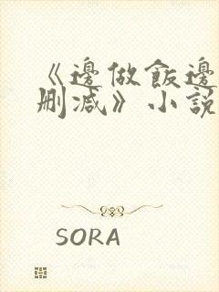 《边做饭边躁无删减》小说