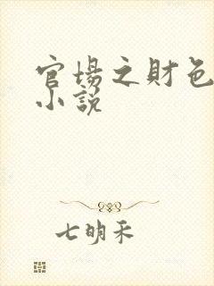 官场之财色诱人小说