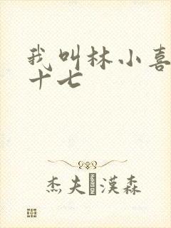 我叫林小喜今年十七