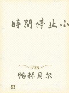 时间停止小说