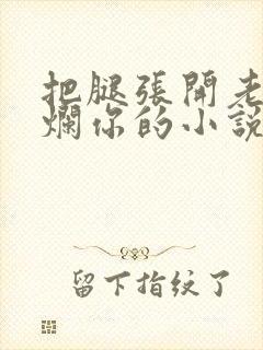 把腿张开老子臊烂你的小说