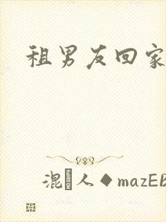 租男友回家过年