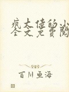 疯大佬的小玩物全文免费阅读小说