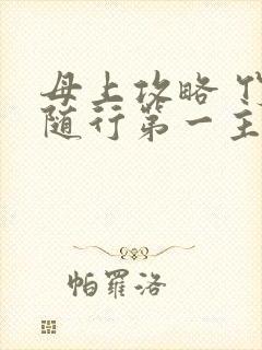 母上攻略 竹影随行第一主板