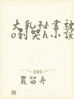 大乳秘书被cao到哭h小说