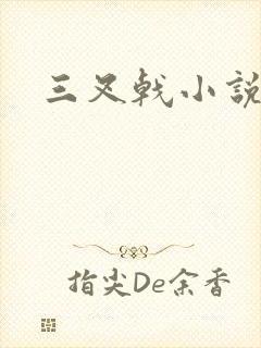 三叉戟小说