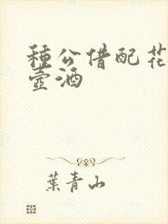 种公借配花间一壶酒