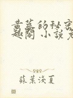 黄蓉的秘密 笔趣阁 小说免费阅读下载