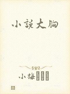 小说大胸