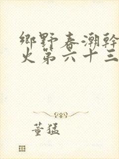 乡野春潮干柴烈火第六十三章