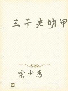 三千光明甲