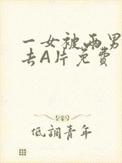 一女被两男桶进去A片免费