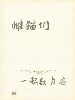 雌猫们
