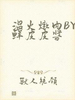 温火炖肉BY海鲜皮皮酱