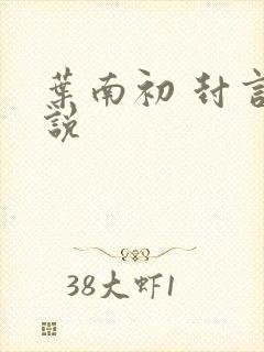 叶南初 封言小说