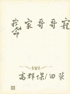 我家哥哥宠妹如命