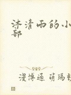 沐清雨的小说全部