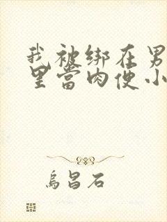 我被绑在男公厕里当肉便小说