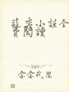 苏奕小说全文免费阅读