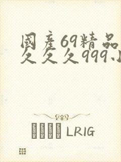 国产69精品久久久久999小说