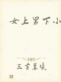 女上男下小说