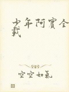 少年阿宾全集下载