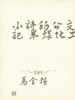 小诗的公交车日记 半煤化工