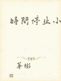 时间停止小说