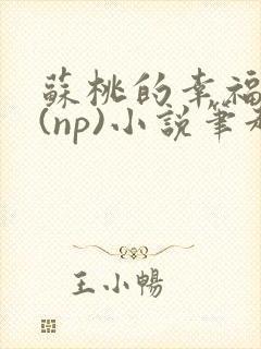 苏桃的幸福生活(np)小说笔趣阁沐沐