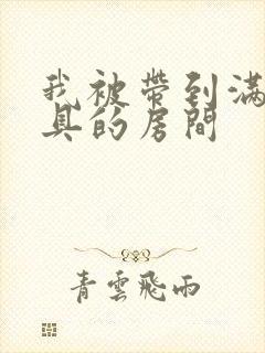 我被带到满是玩具的房间