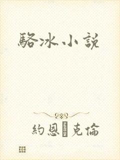 骆冰小说