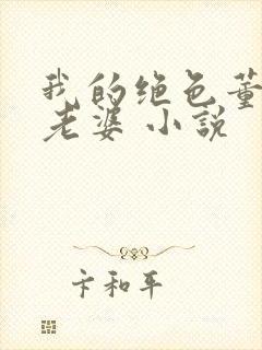 我的绝色董事长老婆 小说