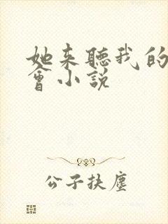 她来听我的演唱会小说