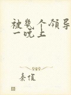 被几个领导玩弄一晚上