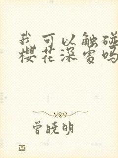 我可以触碰你的樱花深处吗